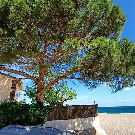 Renove Proche Plages Avec Piscine - Fr-1-776-134 * Argelès-sur-Mer